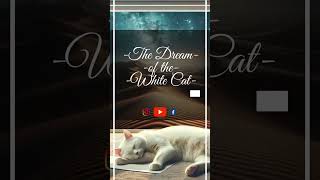 The Dream Of The White Cat - Vol. 2 - Space Dreams Lofi HipHop for Starry Nights