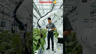 This brinjal farming machine is unbelievable! 🍆😱”#BrinjalFarming #EggplantFarm#FarmMachine#AgriUSA
