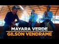 BATE-PAPO com: Mayara Verde e Gilson Vendrame