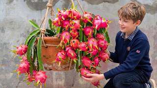 BEST Gardening Trick to Propagate Dragon Fruit Fast!