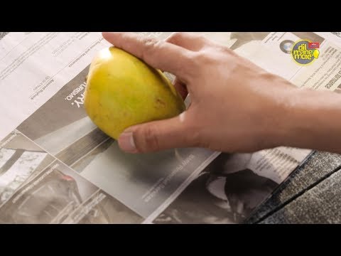 Videó: Leéghet a mangó – Ismerje meg, hogyan állíthatja meg a mangó leégését