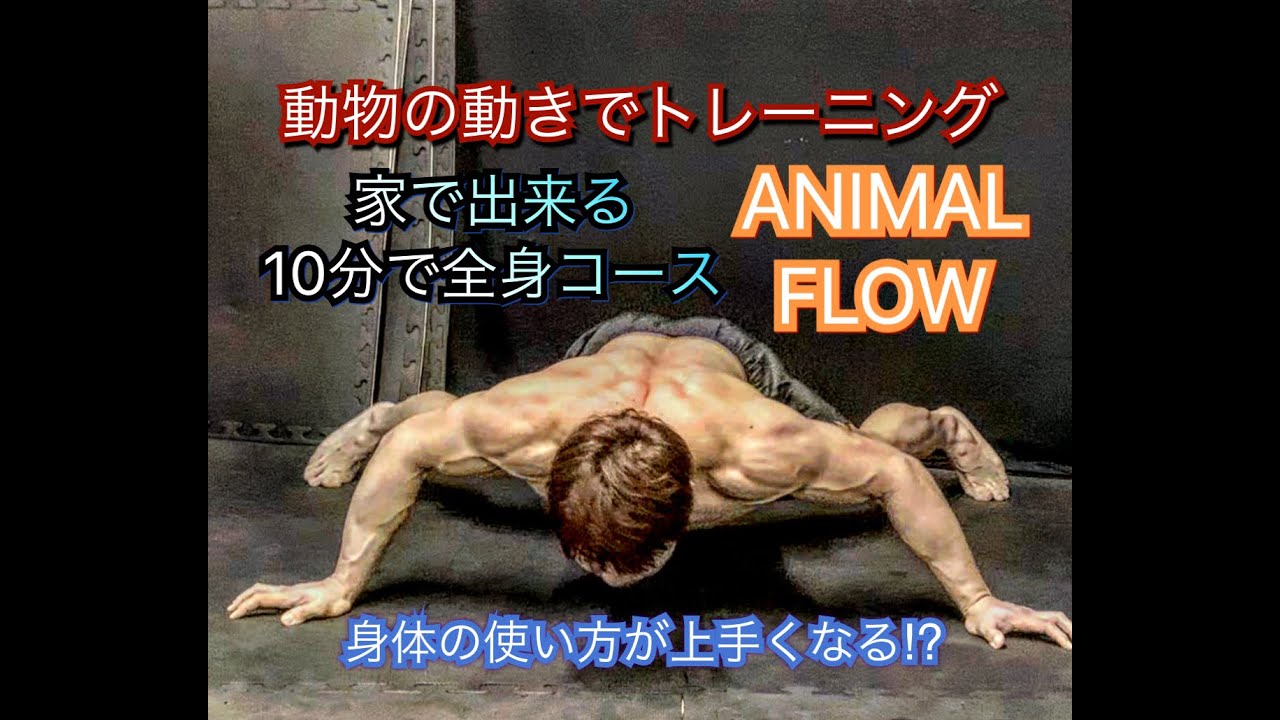 １回10分アニマルフローで身体の様々な機能を強化[Animal Flow]