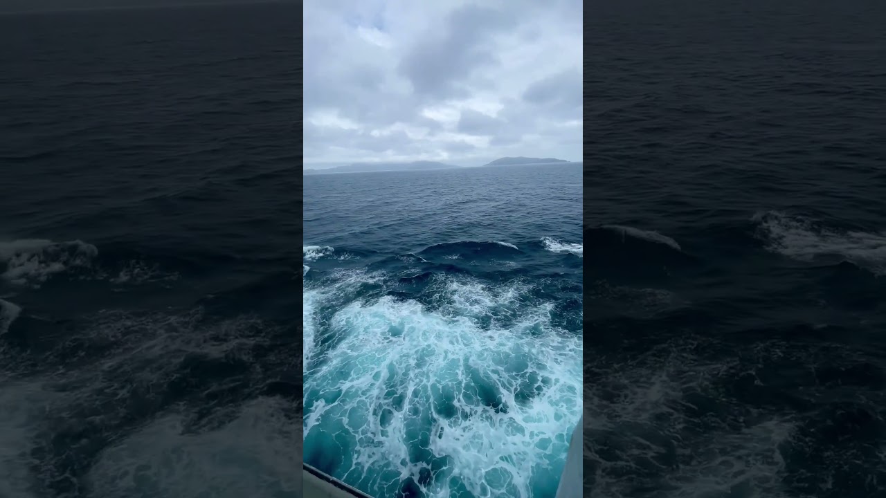 POV: Your cruise balcony overlooks the endless sea🌊🛳️