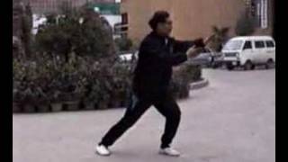 M. Hu Wang Liang - Wu Tjq Demo