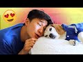 When Your DOG Is Your Best Friend | Smile Squad Skits