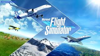 Microsoft Flight Simulator SkyVector toolbar.