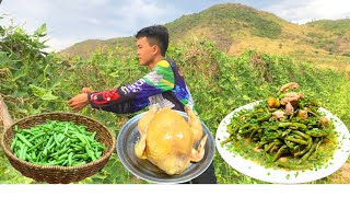 Today chef Ny go to pick beans at the foot of the mountain for fry and eat _ Cooking with chef Ny.