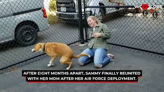 Dog Reunites With Mom After 8 Months Apart