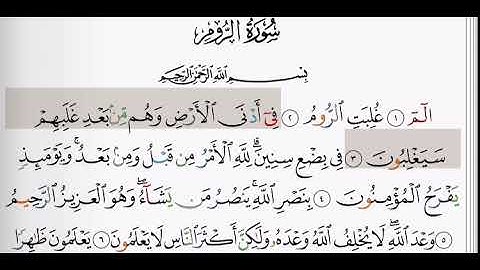 (30) سورة الروم | شيخ الزين محمد احمد