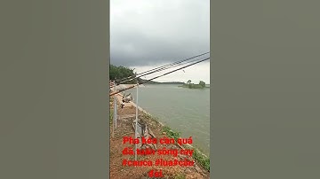 pha kéo cần hấp dẫn.tuấn sông ray #câu cá #lua #câu đài
