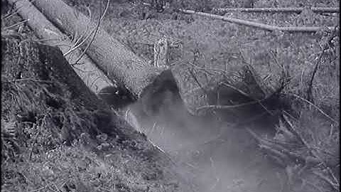 Filmový zpravodaj 48/1982 Pro vodu i stromy