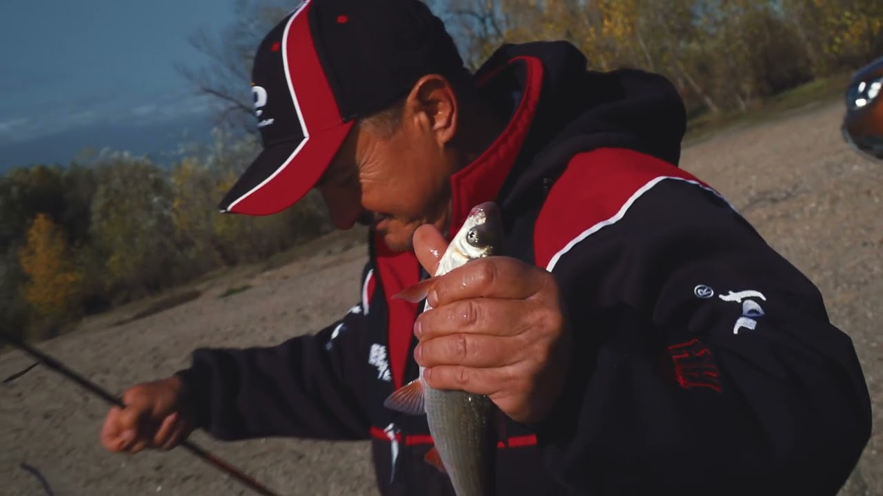 Scobari mofturosi la feeder din Mures