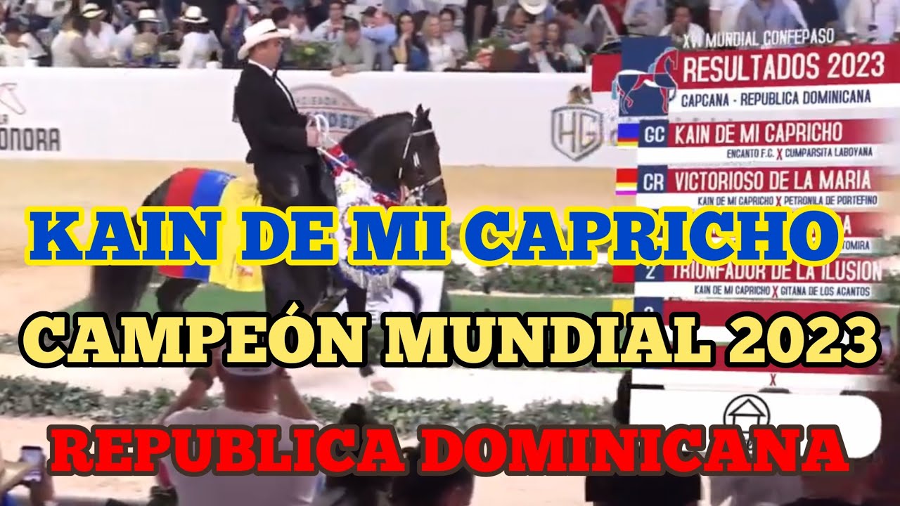 КАЙН ПО МОЕЙ ПРИХОТИ ЧЕМПИОН МИРА 2023 ГОДА