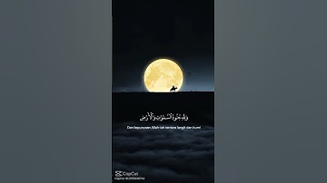 القران الكريم#tiktok