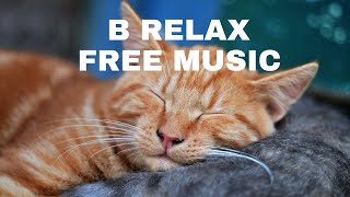 SOFT MUSIC || DOWNLOAD FREE MUSIC|| NON COPYRITED MUSIC screenshot 5
