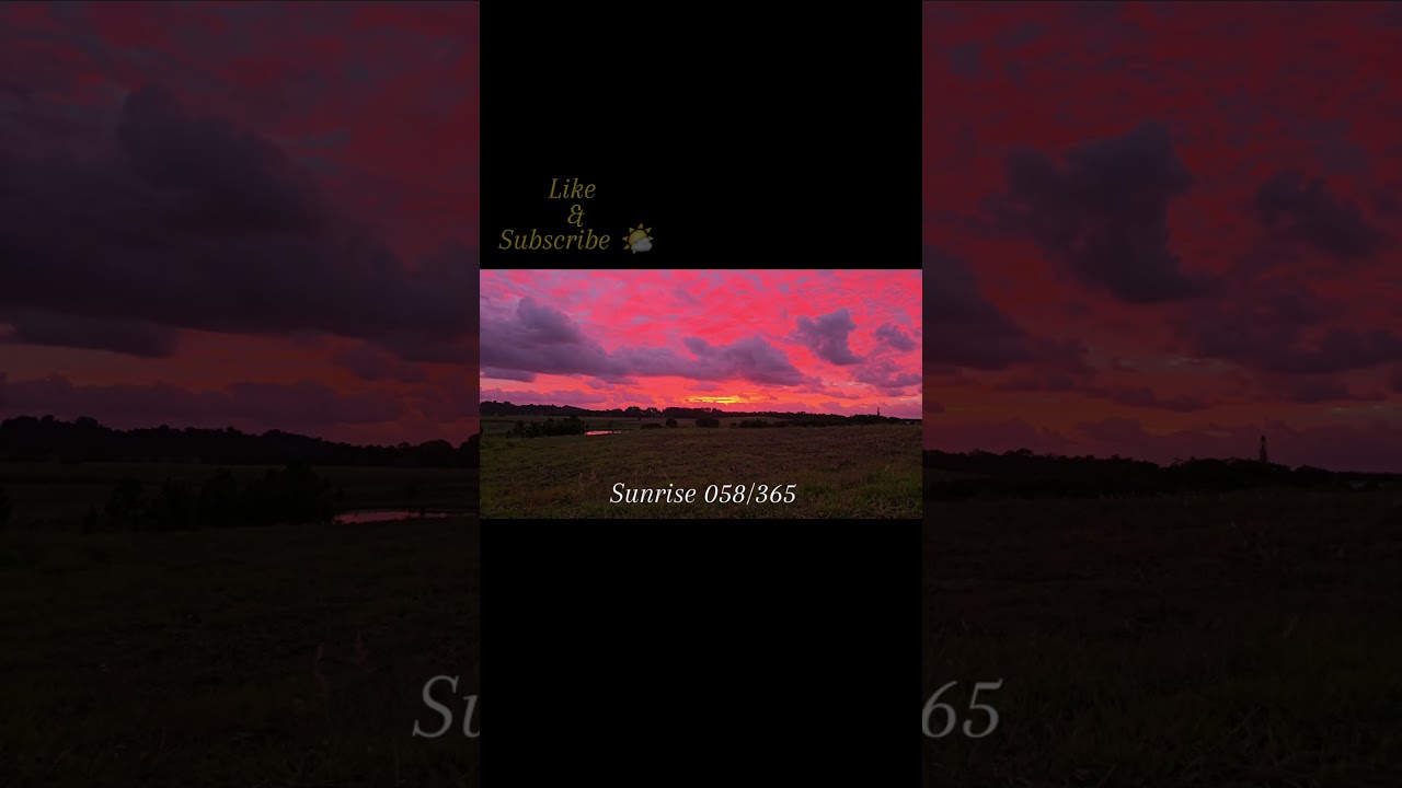 Short Sunrise 58 - Nature Bird Sounds - Natural White Noise | Focus | Relaxation | UHD 