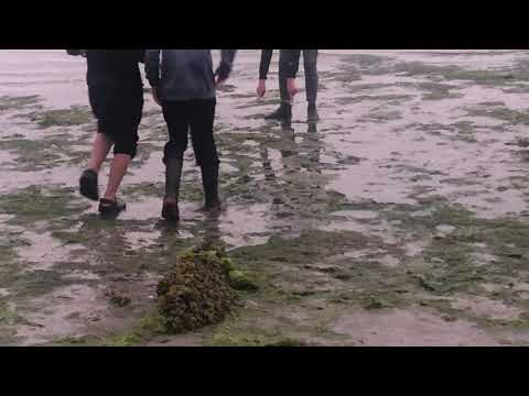 Kid stuck in quicksand pt.9