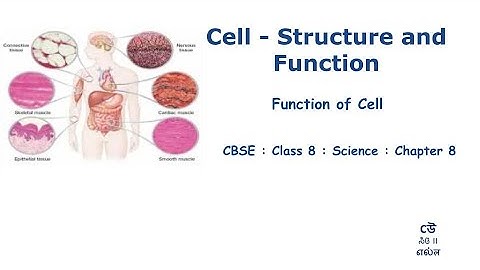 Class 8- Science-Chapter 8 – Cell : Structure And Function - Part06- Cell Function #NCERT #Kannada