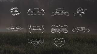 Free Wedding Titles - Fluid 4K Lyric Title Pack (Ae, Pr, Dr, FCPX) screenshot 1