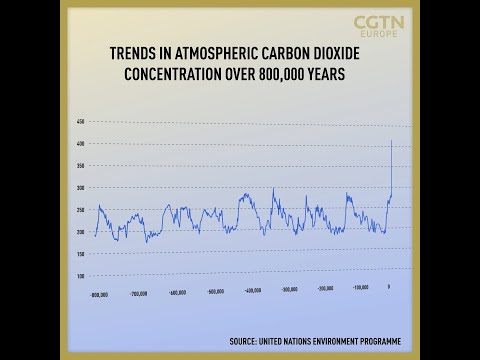 Vídeo: Hi ha diòxid de carboni a l'atmosfera?