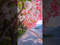 Most Amazing#natural video#edit#travel#beautiful#shortvideo