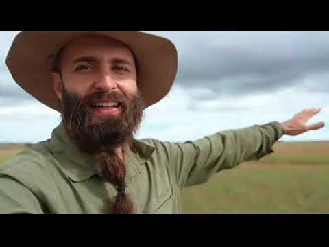 Preparation For Amazing Wildlife In Serengeti National Park 
