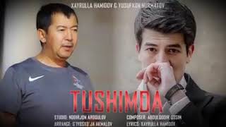 Yusufhon Nurmatov Tushimda mp3