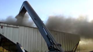 Loading straight cut peas