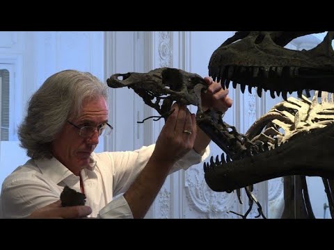 Up for auction: Two dinosaur skeletons