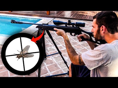 ATIREI em uma MOSCA a 10m de DISTÂNCIA | Sniper de Quintal #1