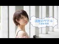 流星のサドル / 久保田利伸 [オフボSPM 修正版] [歌える音源]  (歌詞あり offvocal ガイドメロディーあり 昭和 オフボーカル 家カラ karaoke)