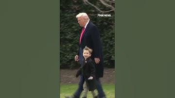 Trump boards Marine One with Elon Musk