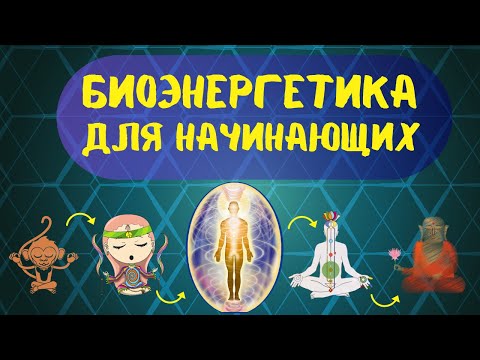 Биоэнергетика для начинающих практиков. 7 обучающих видео