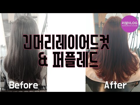 긴머리레이어드컷 + 퍼플레드 [엘리야의소소한헤어]
