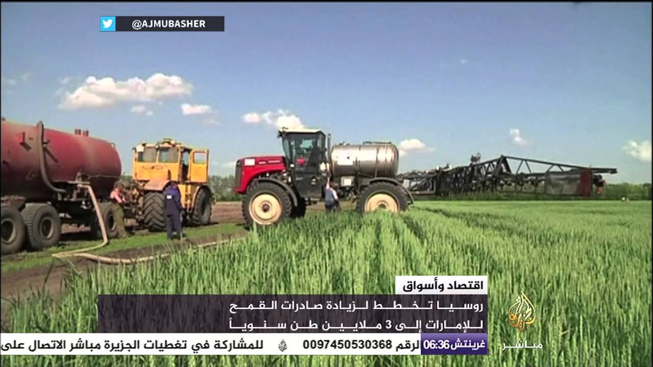 روسيا تخطط لزيادة صادرات القمح للإمارات إلى ٣ ملايين طن سنويا