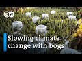 An expensive global climate experiment | DW Documentary