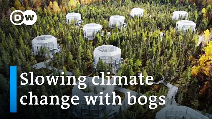 An expensive global climate experiment | DW Documentary
