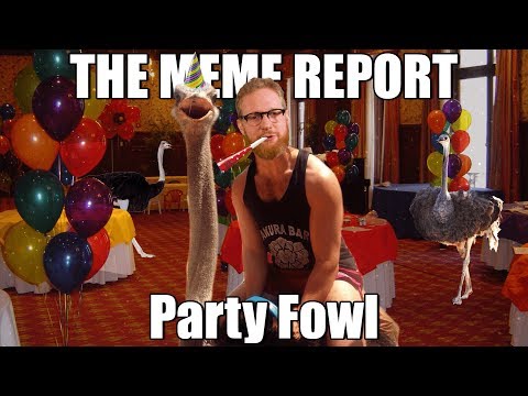 the-meme-report---ep.-8---party-fowl