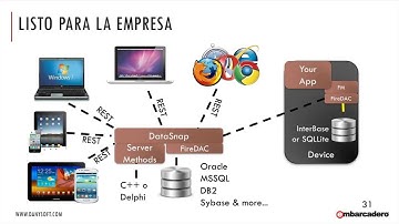 RAD Studio XE5 | Creando un servicio DataSnap para móviles