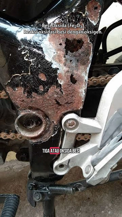 TIDAK SEMUA KARAT ITU BURUK #faktamenarik