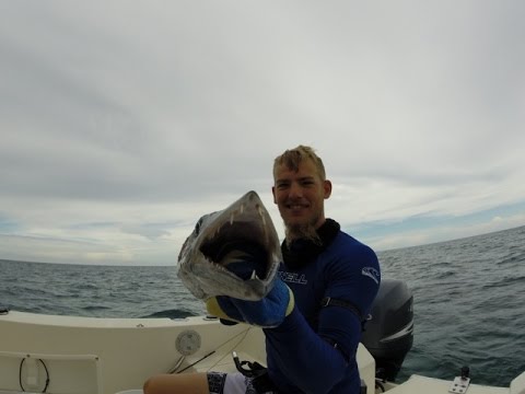 Russell's Barracuda -