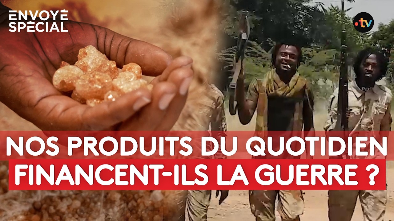 Gomme arabique (E414) : l’ingrédient de la guerre au Soudan - reportage intégral