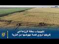 إثيوبيا... بطلة الزراعة في إفريقيا تروي قصة نهوضها من التربة