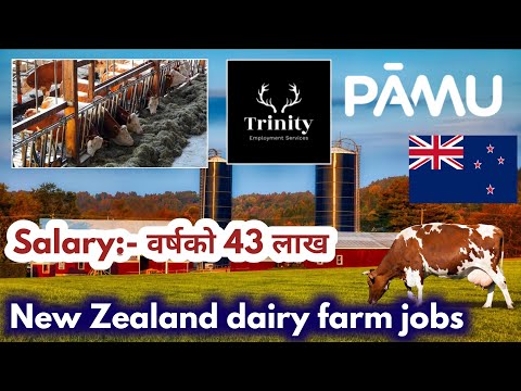 new zealand work visa for nepali 