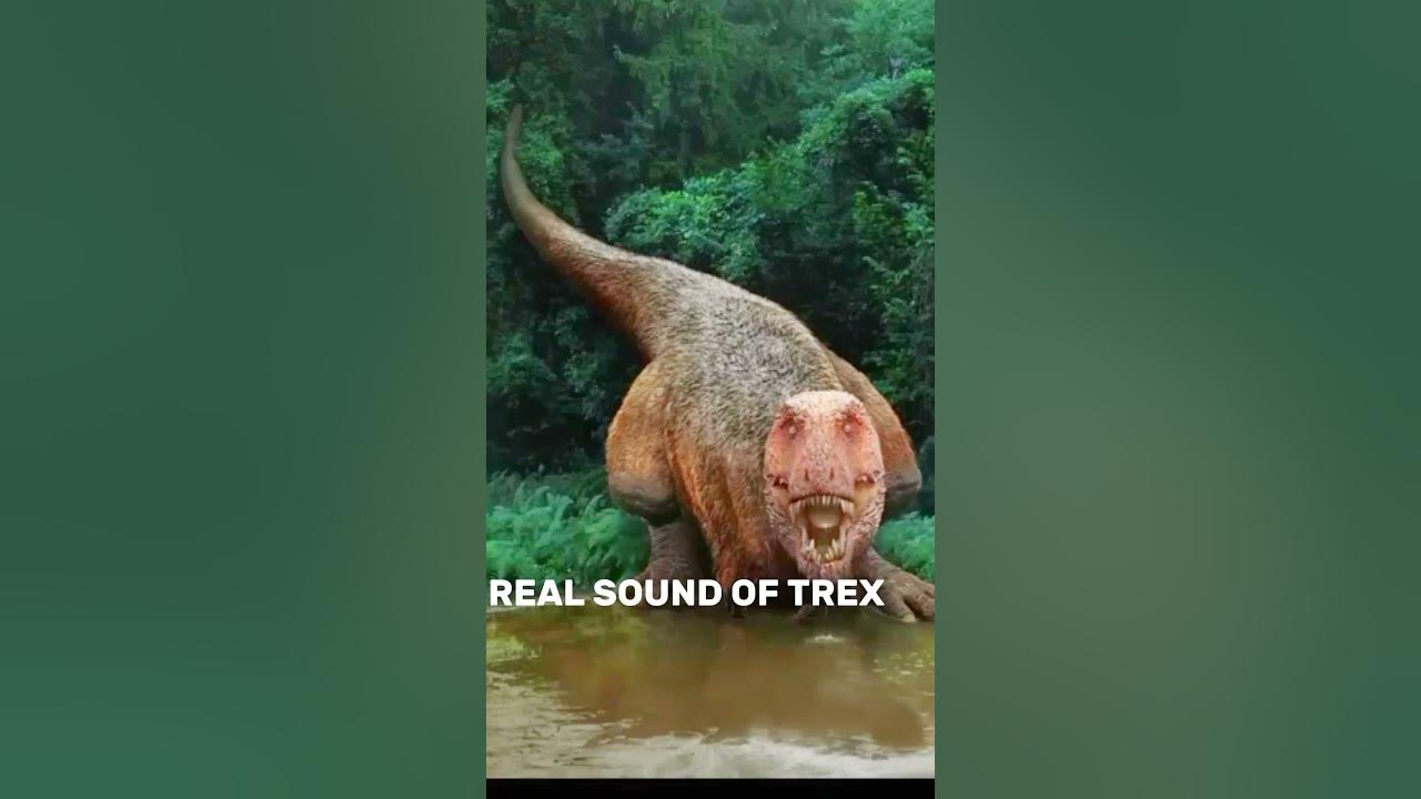 TREX REAL SOUND☠️👹 #trending #jurassicworld  #shorts