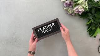 Feather Kale