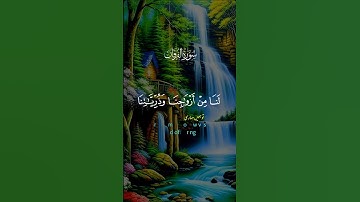 سورة الفرقان #قران_كريم #اكسبلور #duet #دويتو #الرحمن #راحة_نفسية #لايك #تيك_توك #حالات_واتس