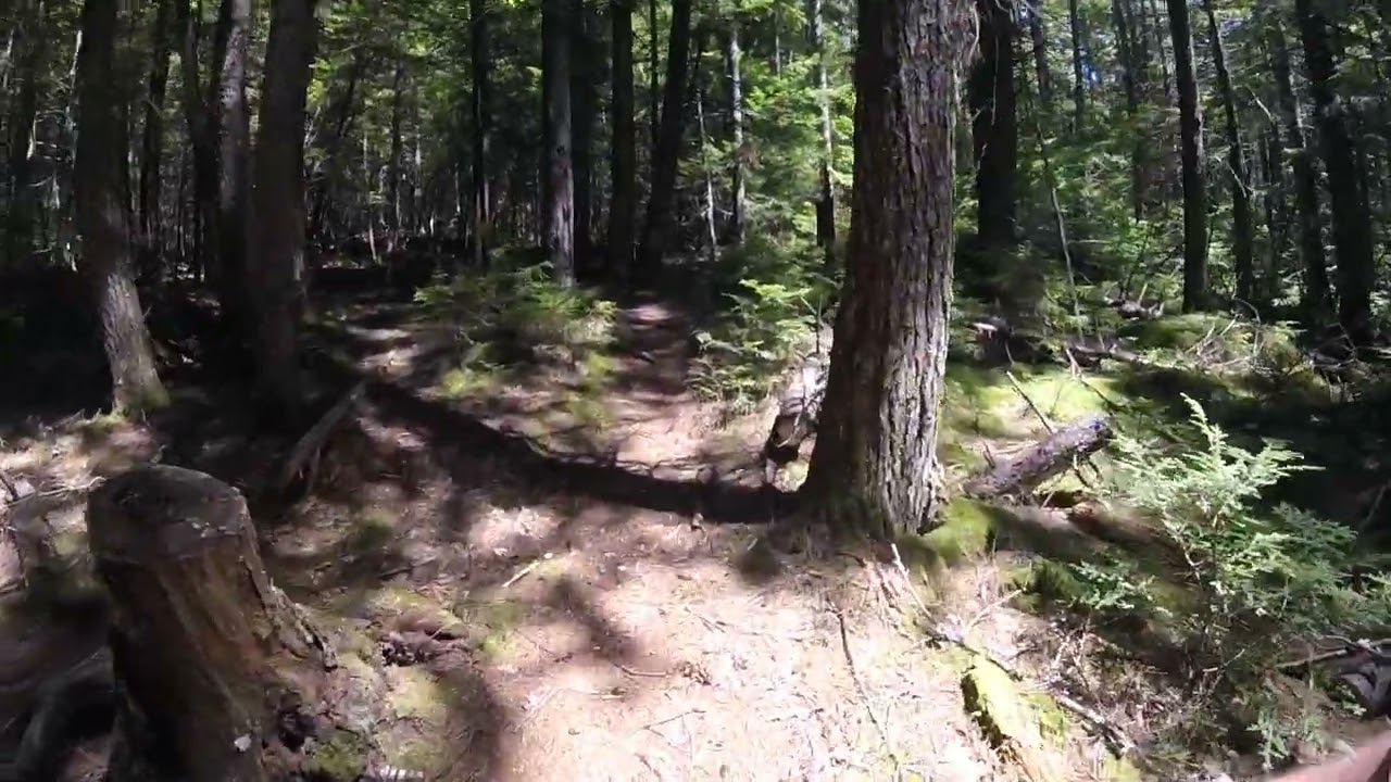 Mossy Rock Trail Orland Maine