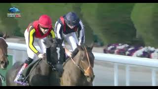 2022 02/26 R 2 / C Lemaire / Song Line : T Hayashi / 1351m G3@ Riyadh