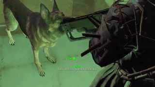 Stuck in an elevator [Fallout 4]
